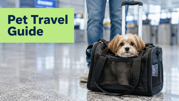 Portable Pet Carrier Guide for Safe and Comfortable Travel