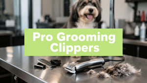 Professional Grooming Clippers for Dogs: A Buyer's Guide