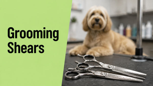 Professional Grooming Shears for Dogs: A Buyer's Guide