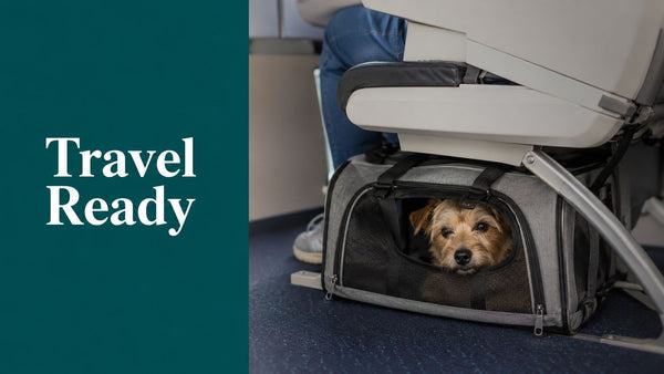 Small Dog Travel Carrier: A Complete Buyer and Use Guide