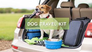 The Ultimate Guide to Travel Accessories for Dogs