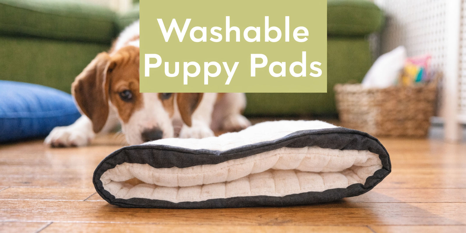 Washable Puppy Training Pads A Complete Practical Guide