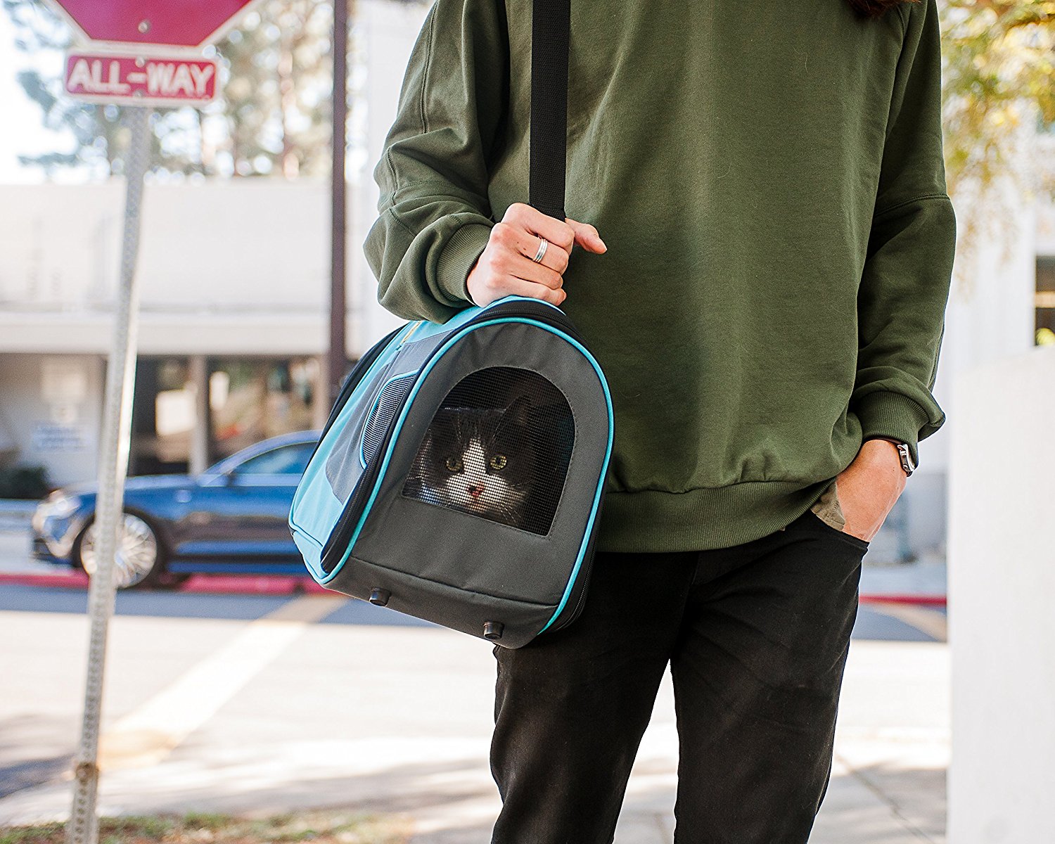 Pet Travel Carriers