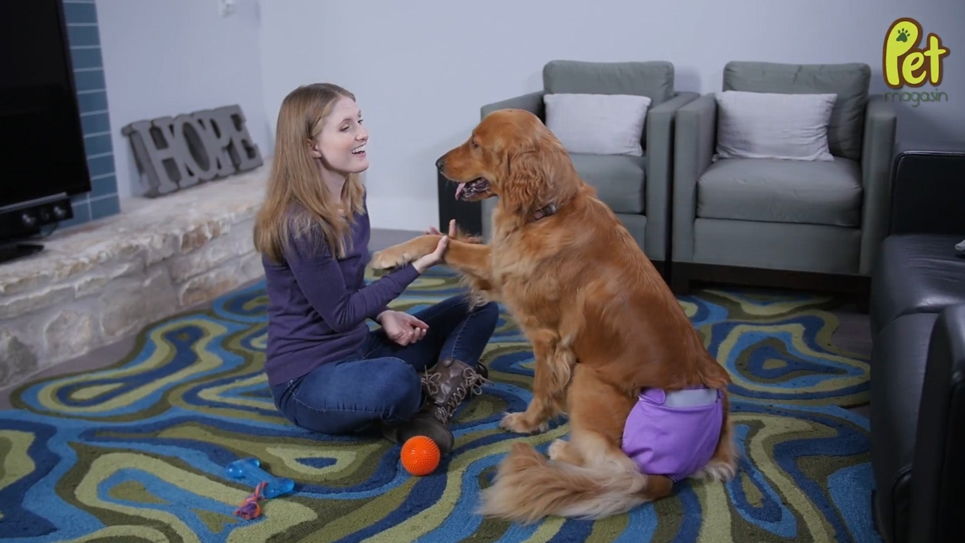 Beautiful view of Themed Dog Grooming Services Cost