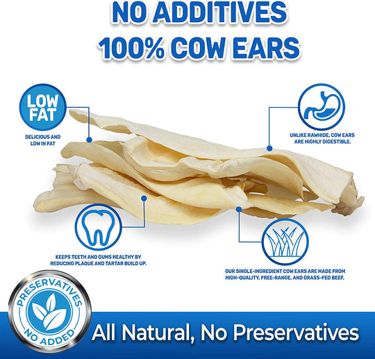 Rawhide Alternative Natural Jumbo Cow Ears 12-Pack Dog Treats Super Chew Long-Lasting FDA & USDA Approved - Pet Magasin