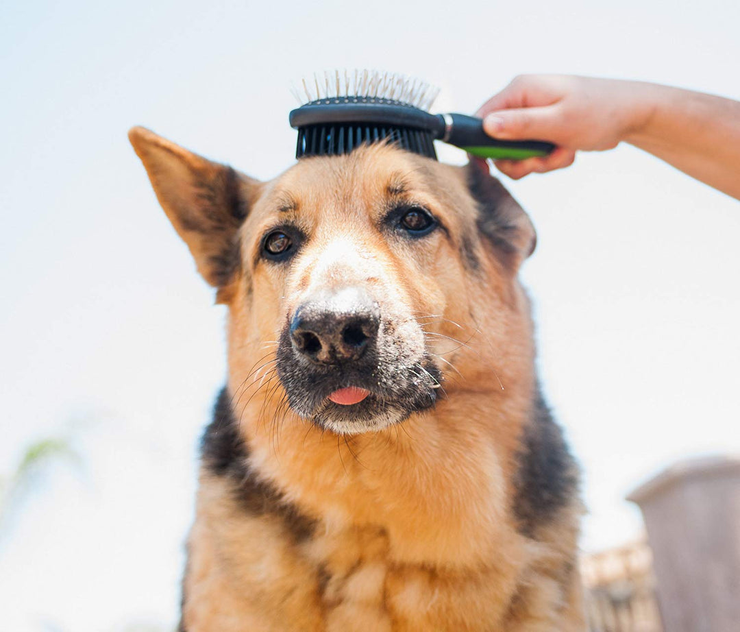 Professional Grooming Brush Sets with Sharp Stainless Steel Structure for Small Medium & Large Dogs - Pet Magasin