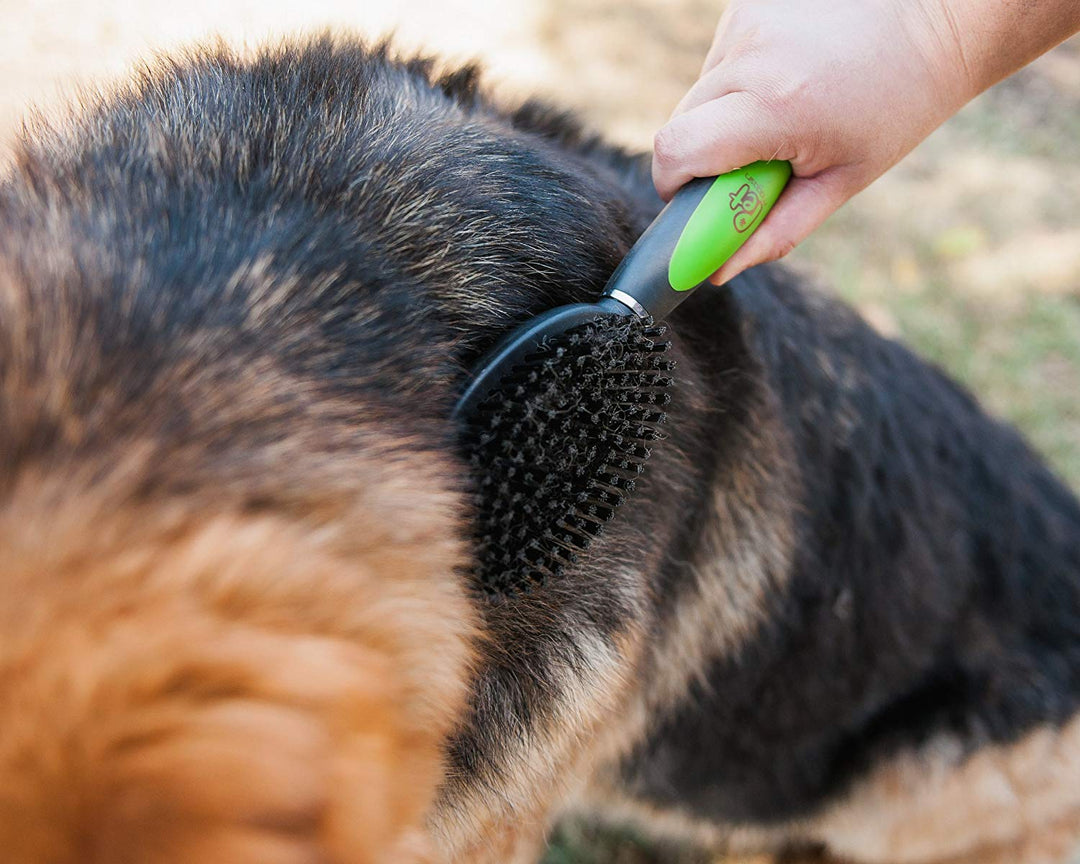 Professional Grooming Brush Sets with Sharp Stainless Steel Structure for Small Medium & Large Dogs - Pet Magasin