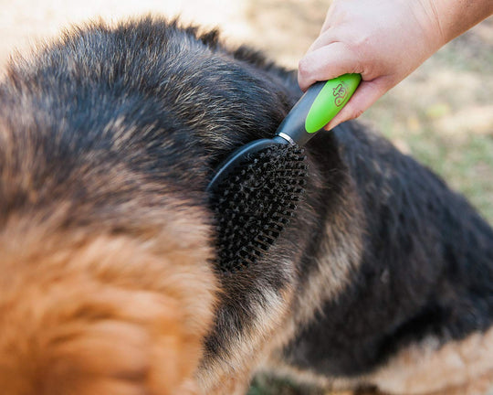 Professional Grooming Brush Sets with Sharp Stainless Steel Structure for Small Medium & Large Dogs - Pet Magasin