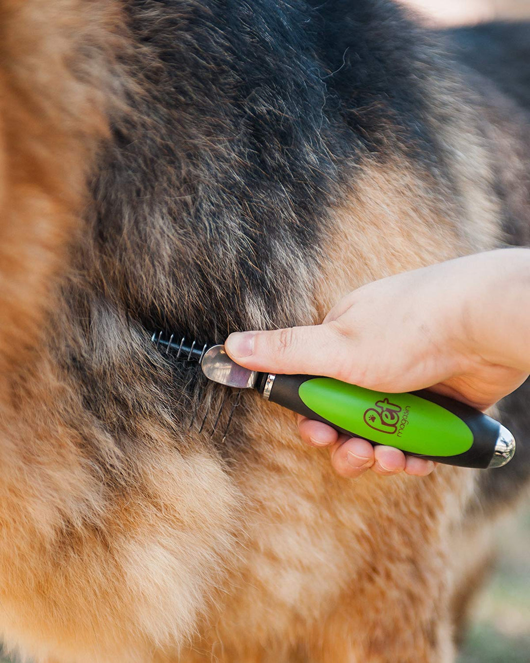 Professional Grooming Brush Sets with Sharp Stainless Steel Structure for Small Medium & Large Dogs - Pet Magasin