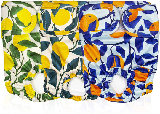 trending instagram dog diaper pattern botanical fruit