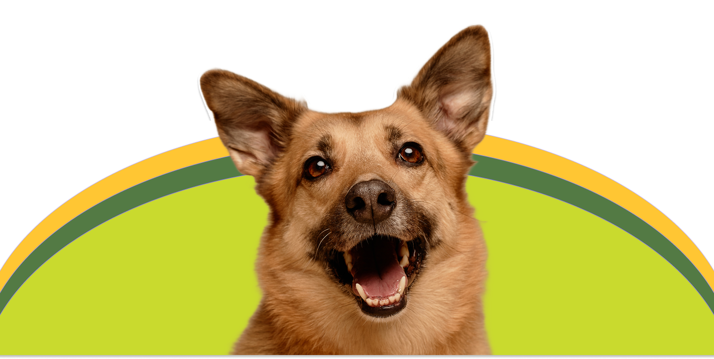 Hero Pet Image